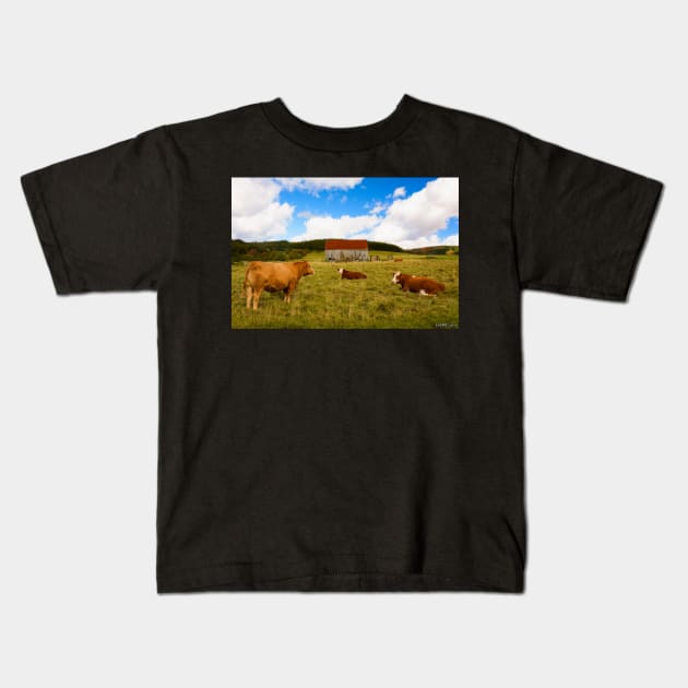 Cows of Mabou Kids T-Shirt by kenmo